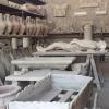 mold-2006442_1920