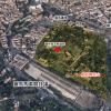 Palatine_Hill