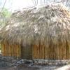 mayan hut